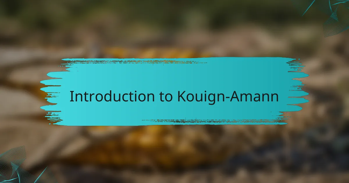 Introduction to Kouign-Amann
