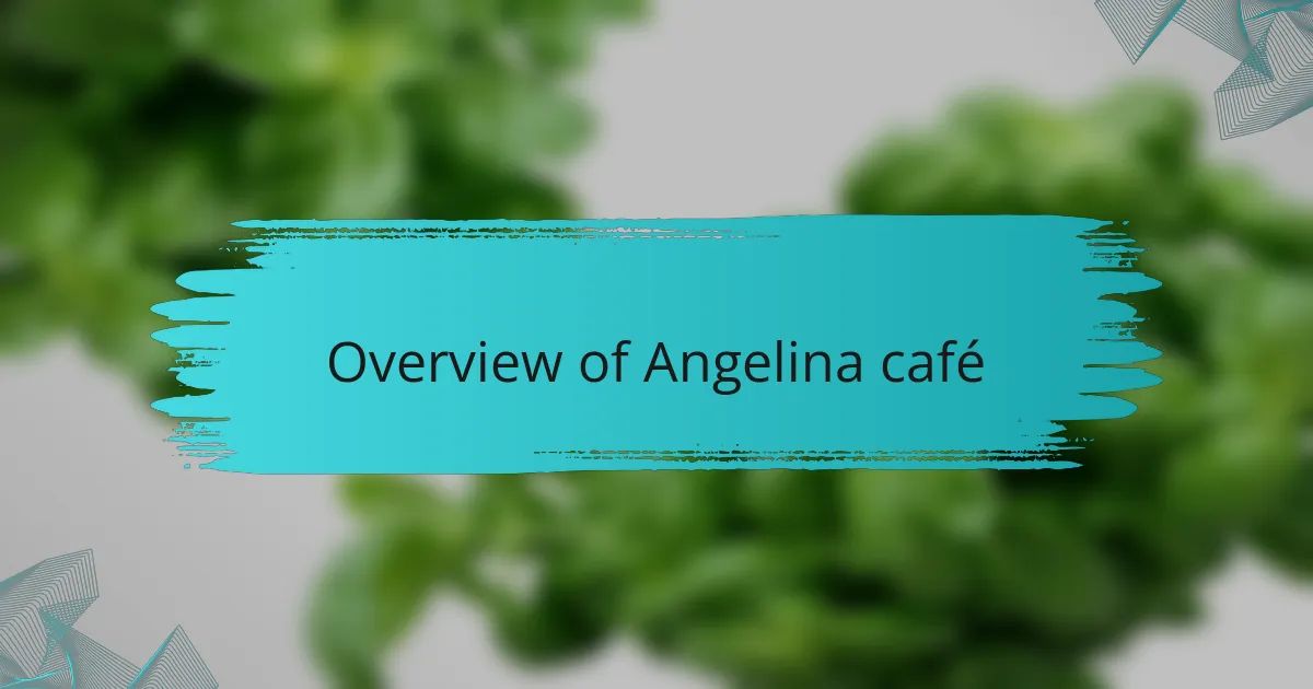 Overview of Angelina café