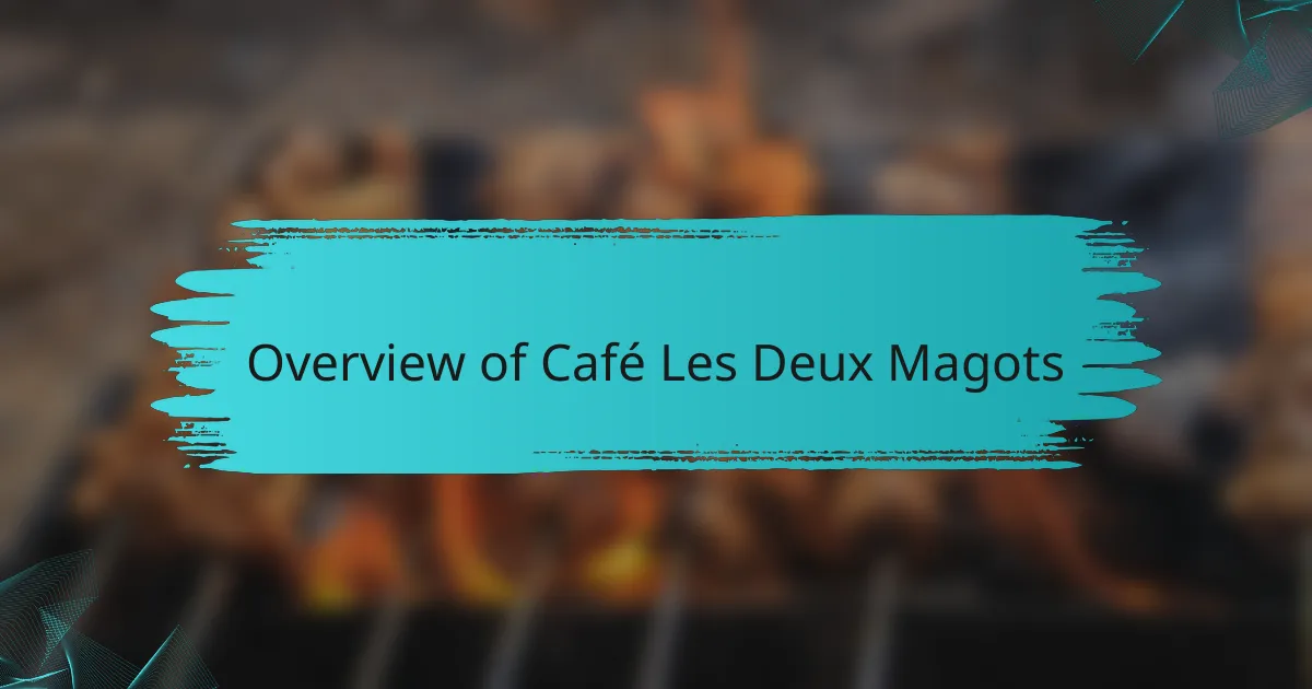 Overview of Café Les Deux Magots