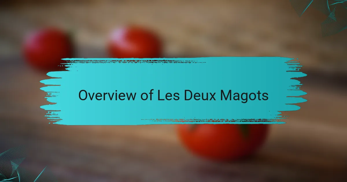 Overview of Les Deux Magots